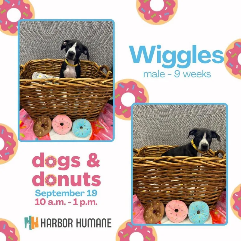 Wiggles