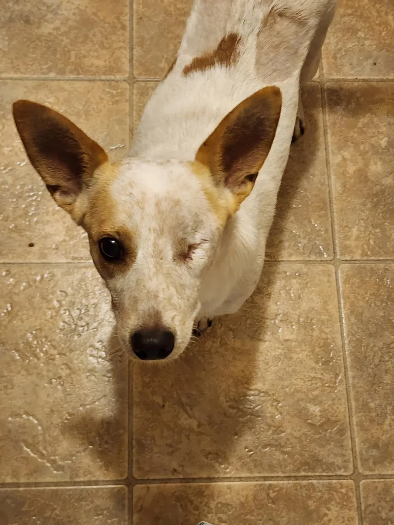 Willie thumbnail 5