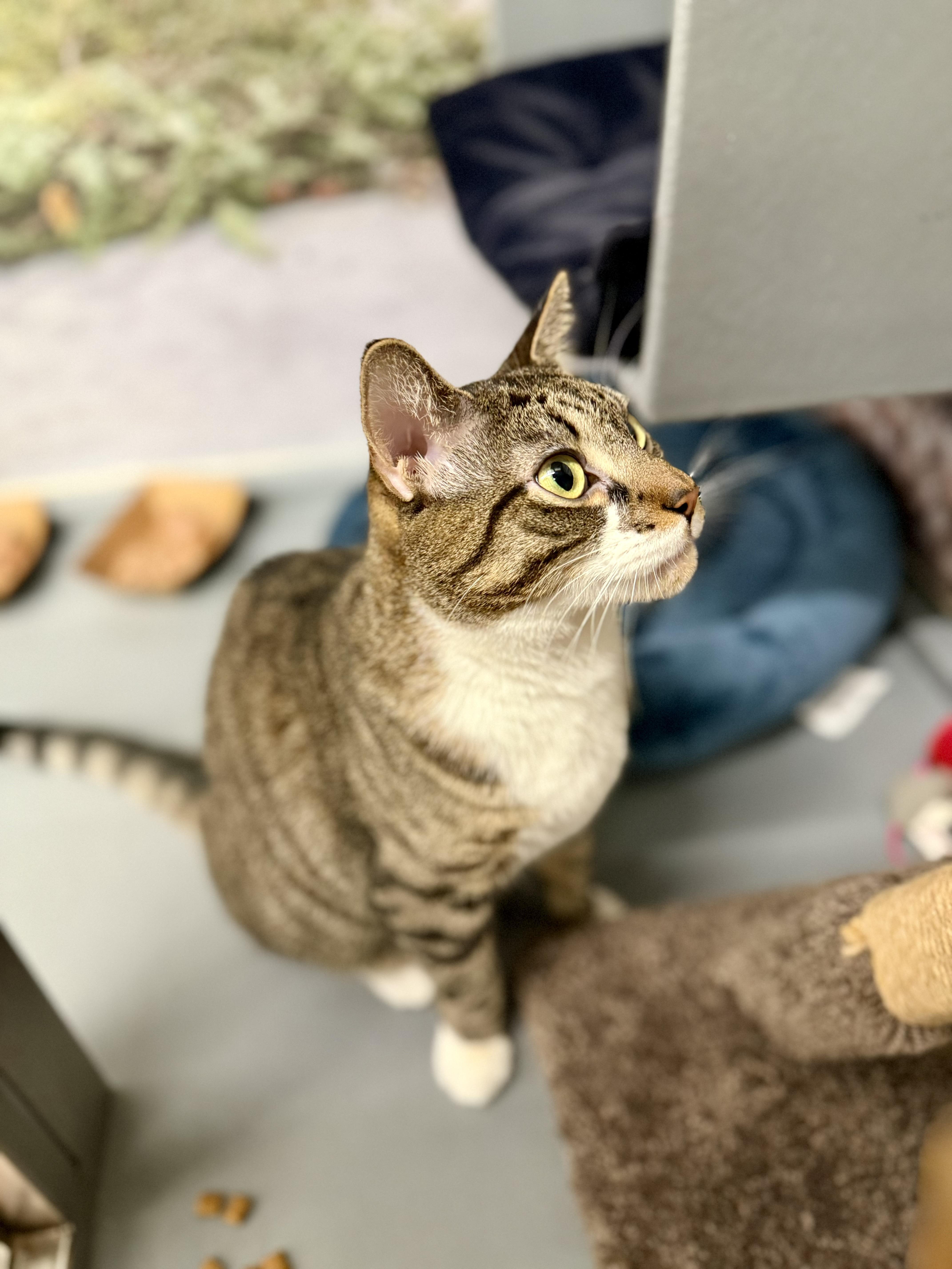 Lillianshirley thumbnail 2