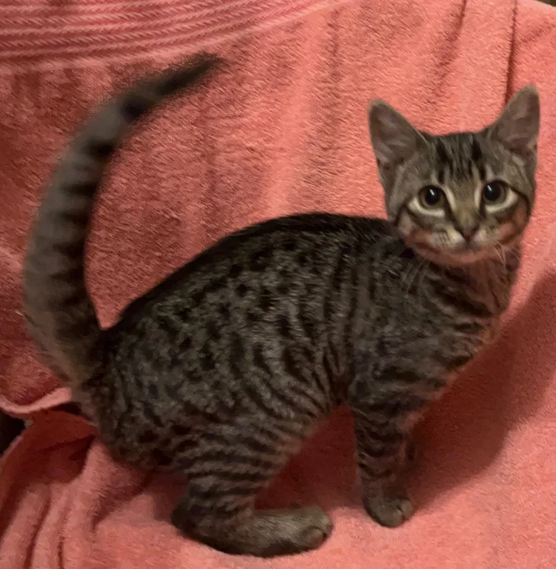 Paris thumbnail 3