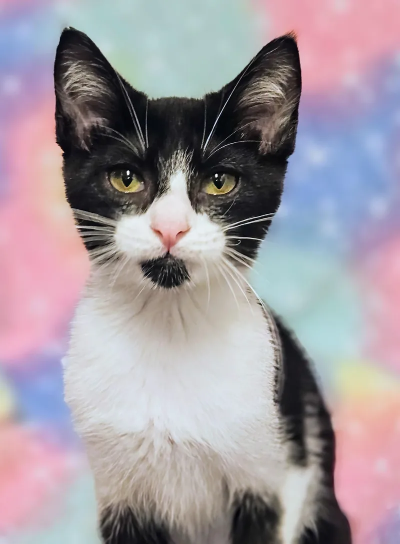 Johnny  Rancho Cucamonga thumbnail 2