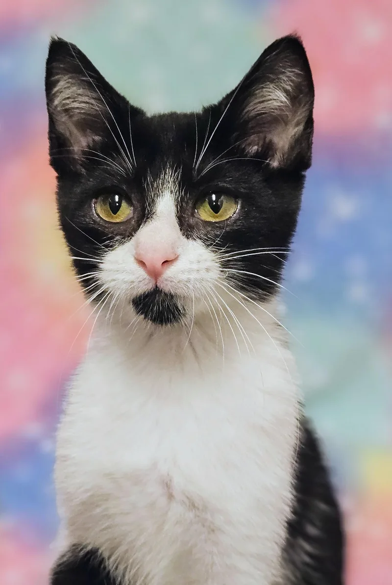 Johnny  Rancho Cucamonga thumbnail 3