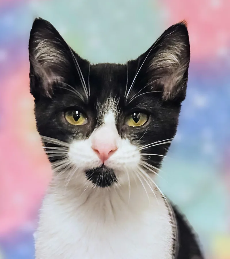 Johnny  Rancho Cucamonga