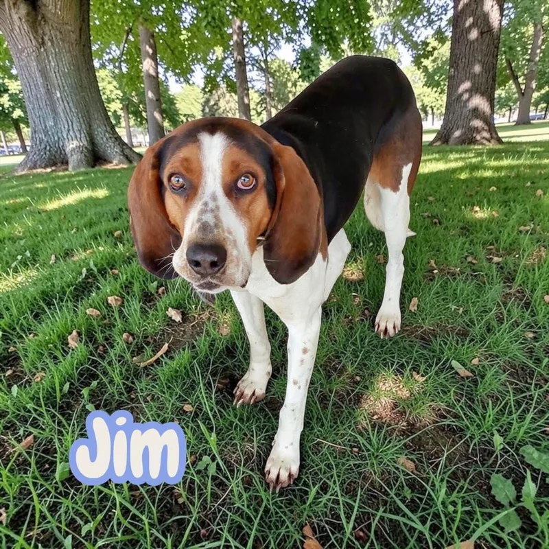 Jim  chained for thumbnail 2