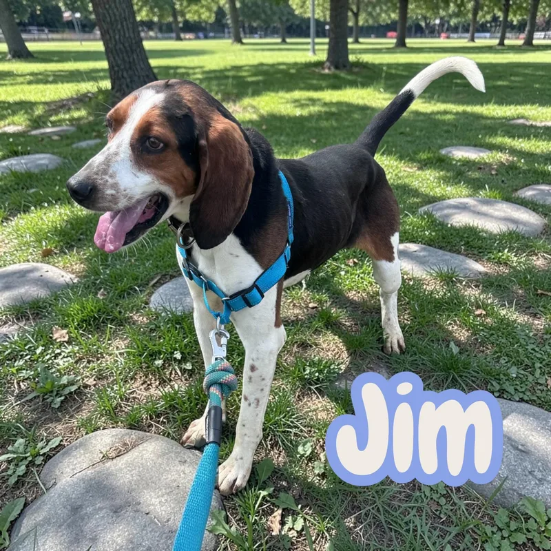 Jim  chained for thumbnail 3