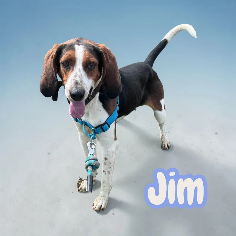 Jim  chained for thumbnail 4