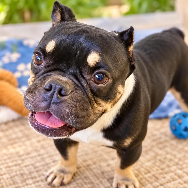 Winifred AKA Winnie thumbnail 4