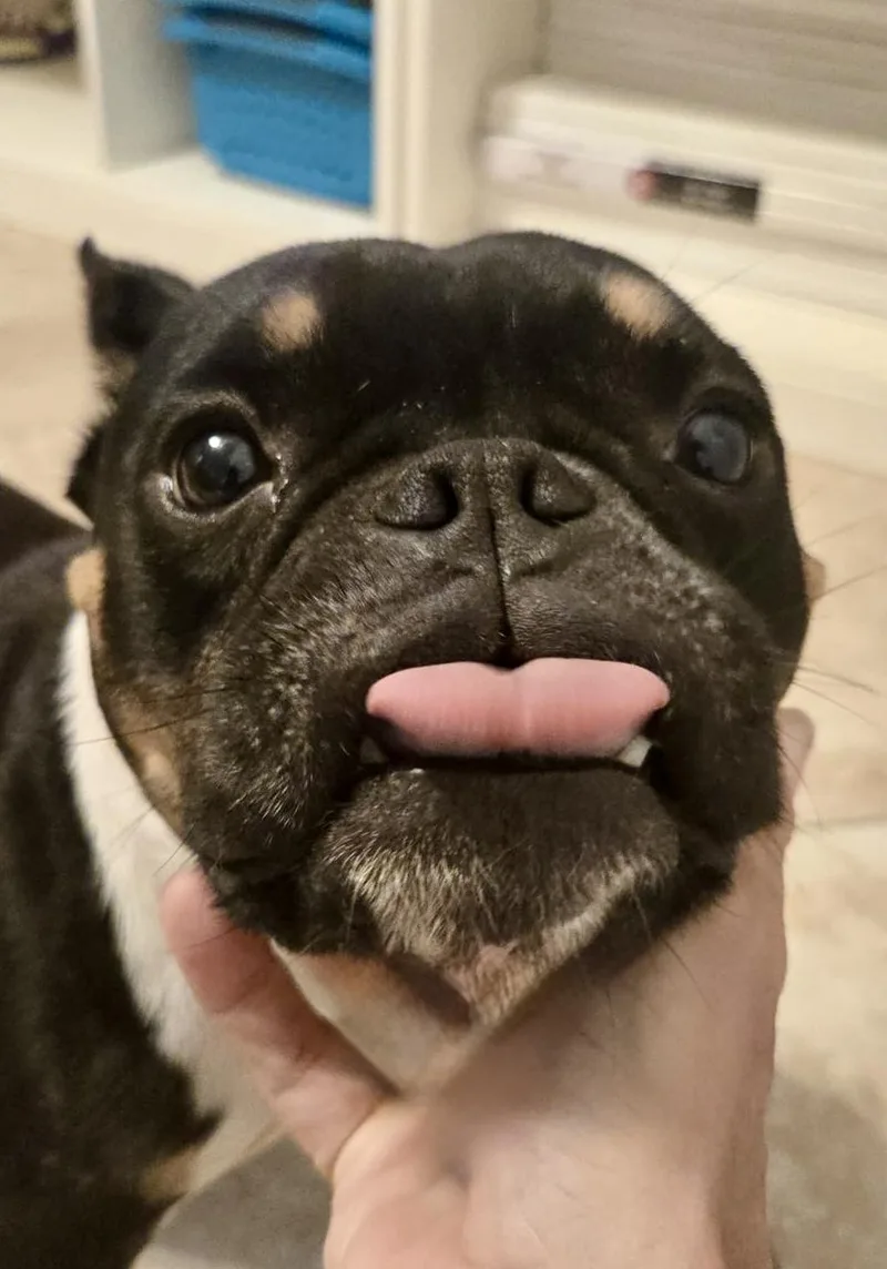Winifred AKA Winnie thumbnail 5