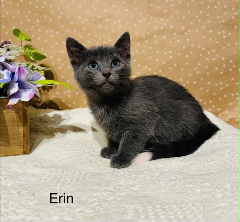 Erin thumbnail 3
