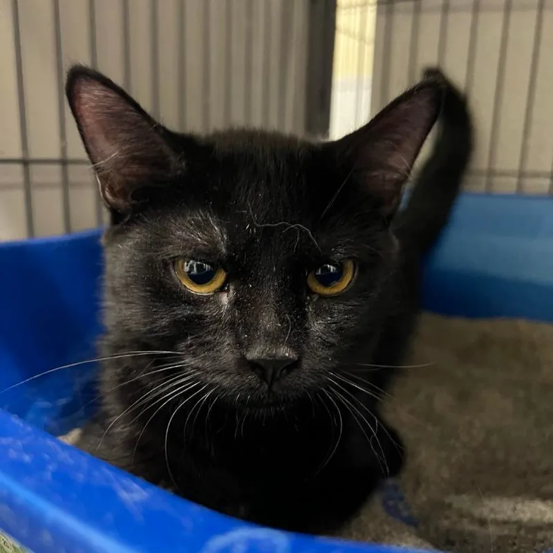 Snuggles thumbnail 2