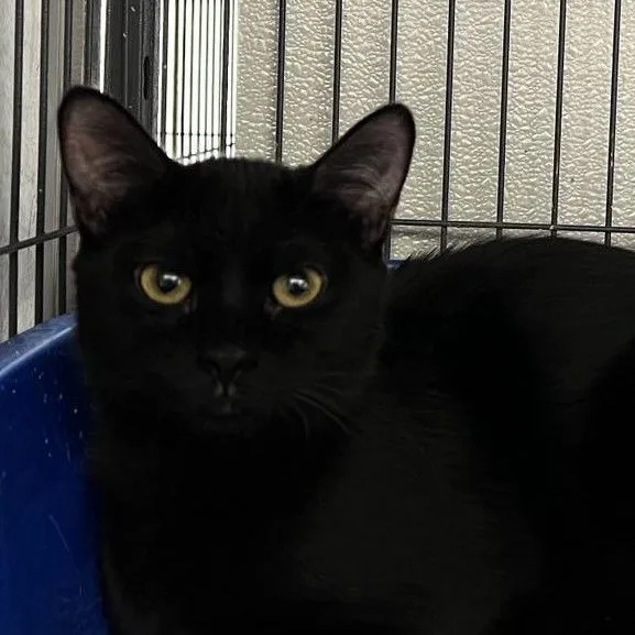 Snuggles thumbnail 4