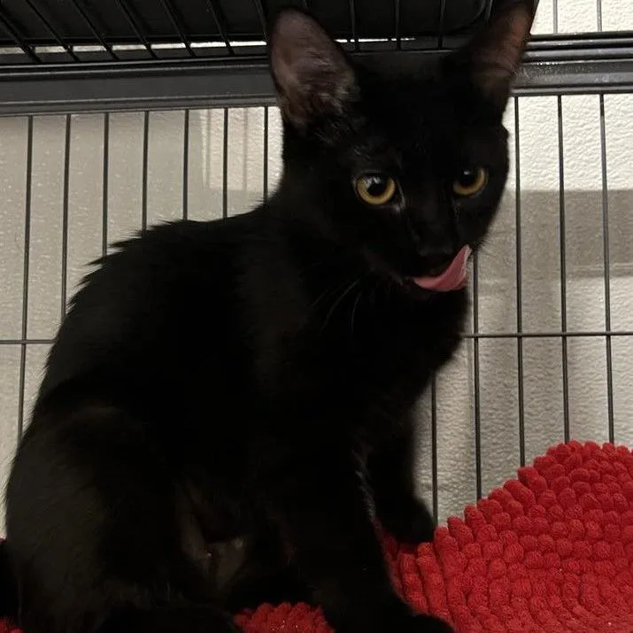 Snuggles thumbnail 5