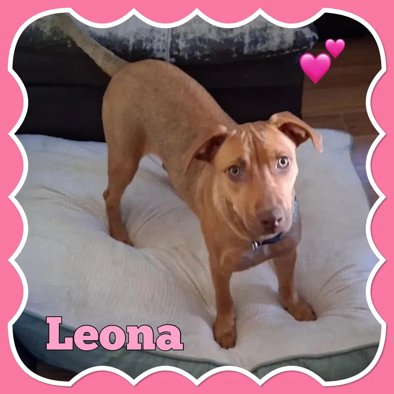 Leonna