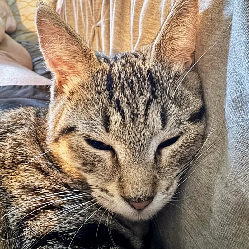 Jacey bonded with Ali thumbnail 3