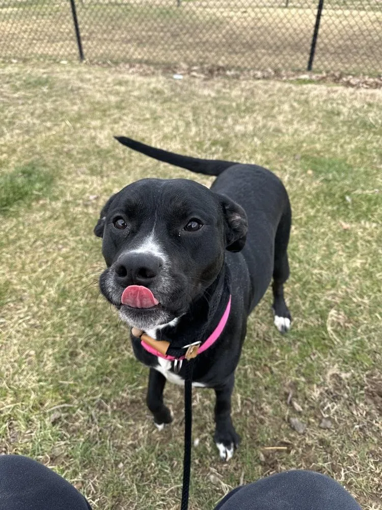 Hera "meadow" thumbnail 2