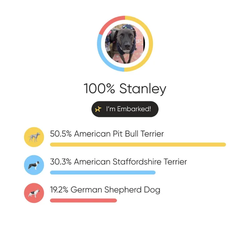 Sweet Stanley thumbnail 3