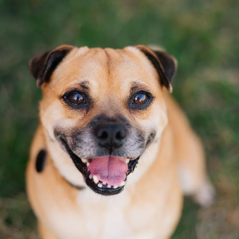 Conway Twitty thumbnail 3