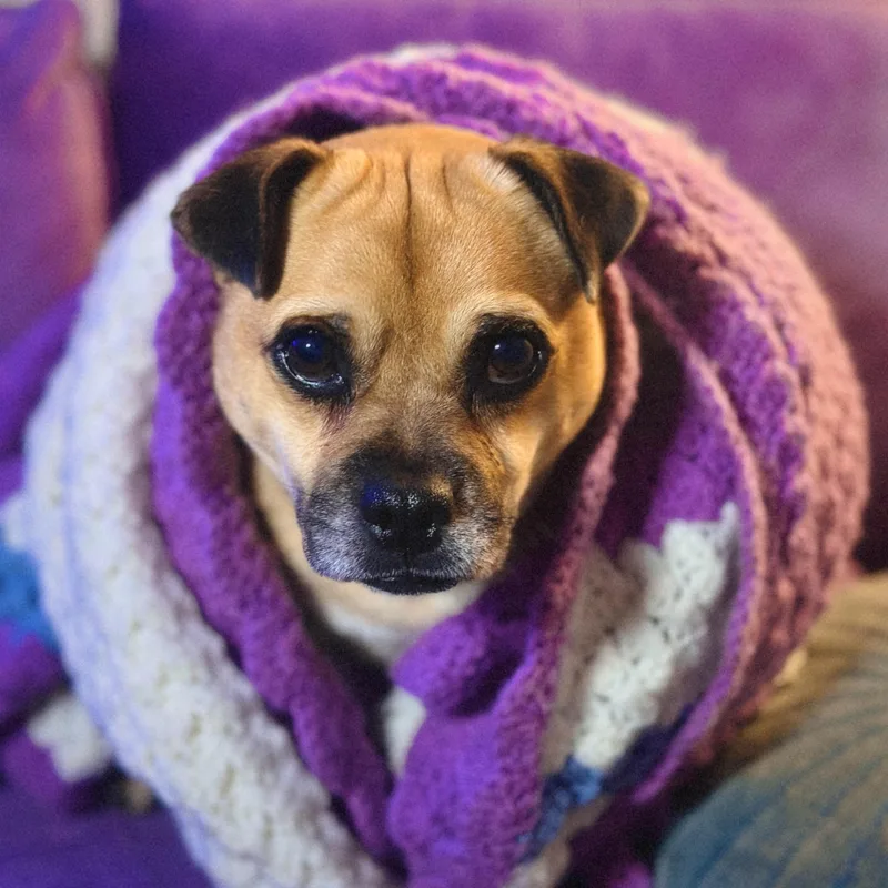 Conway Twitty thumbnail 4