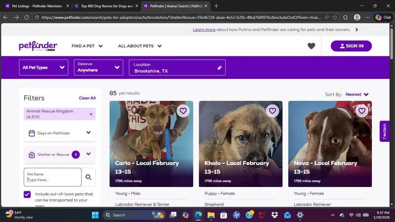 Rizzo  Local April thumbnail 6