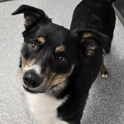 Oklahoma thumbnail 2