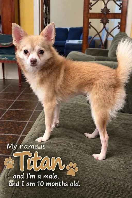 Titan