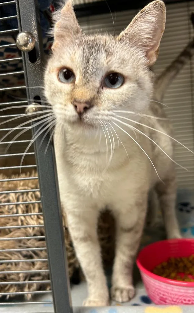 Marble thumbnail 3