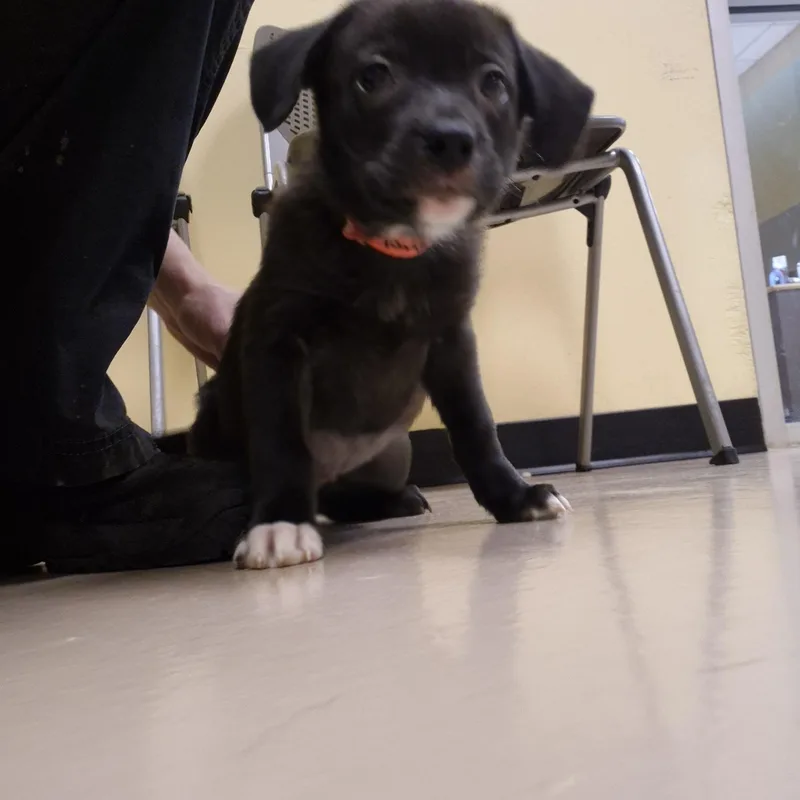 Dr. Yang thumbnail 3