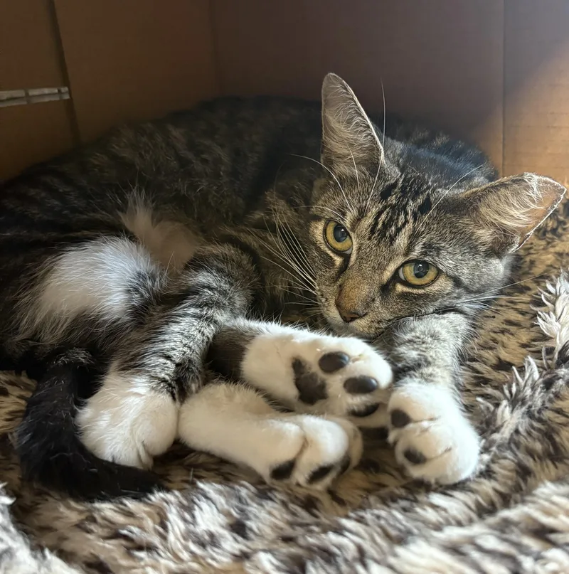 Lisa From Whitehall thumbnail 2