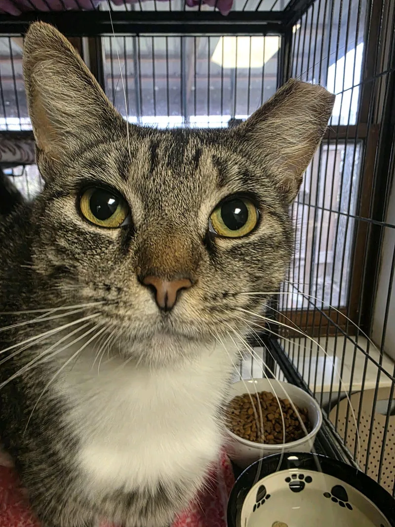 Lisa From Whitehall thumbnail 3