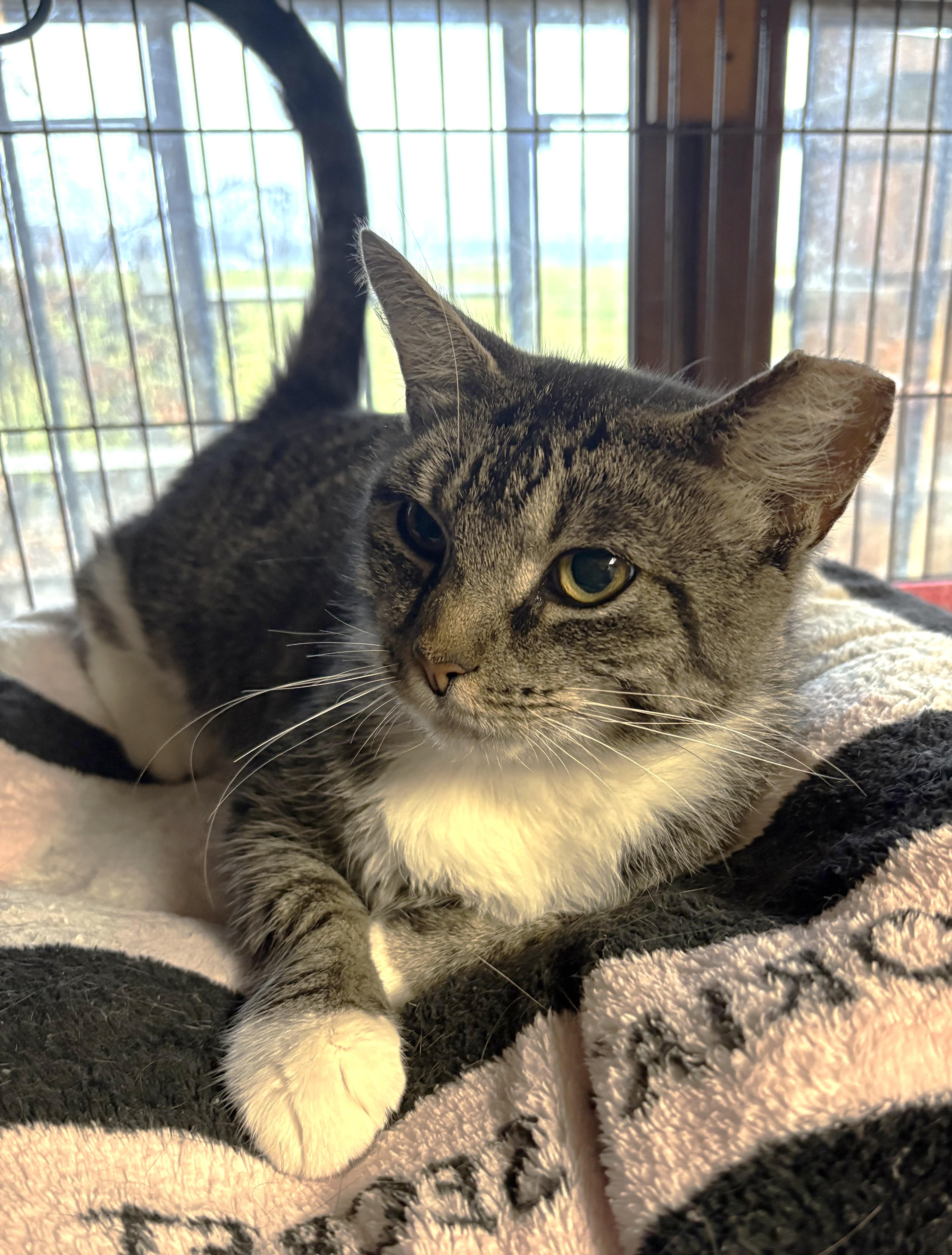 Lisa From Whitehall thumbnail 4