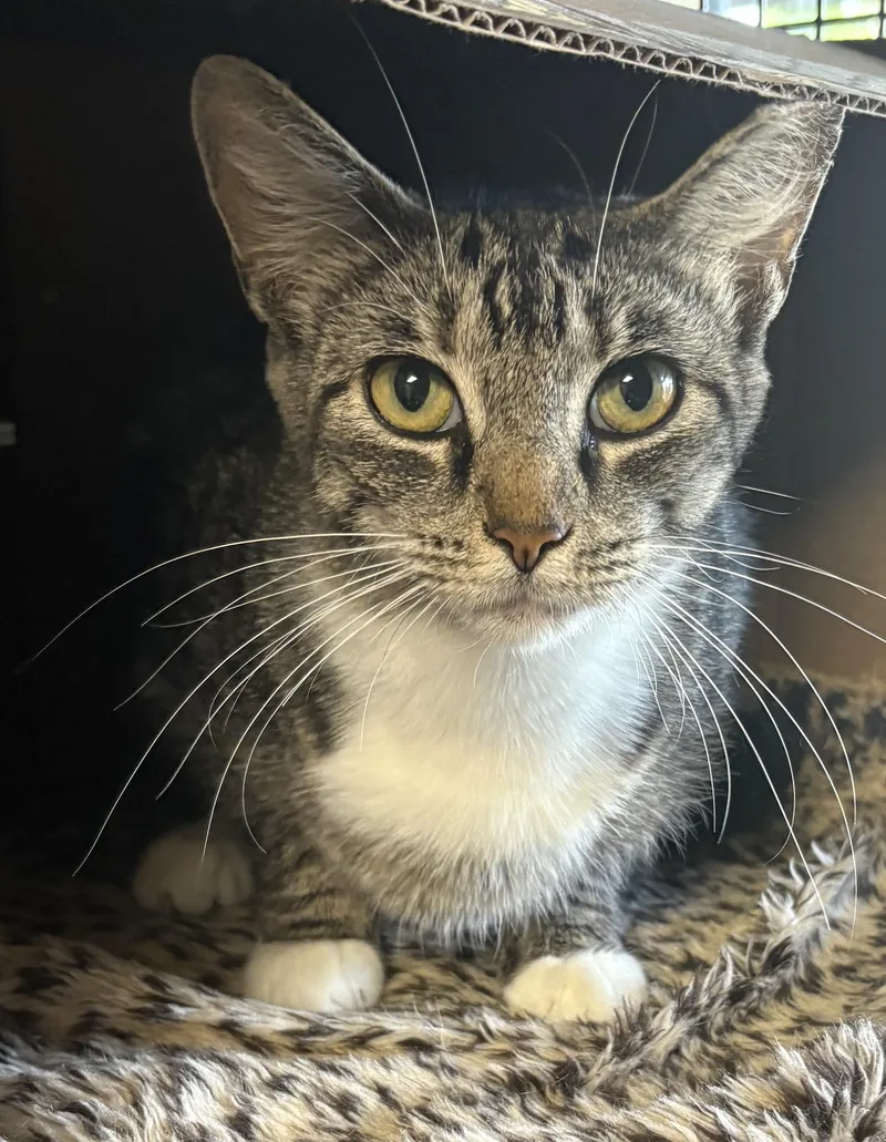 Lisa From Whitehall thumbnail 5