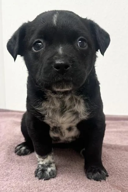 Peggy Hill thumbnail 2