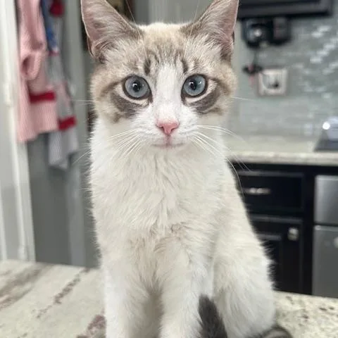 Sapphire