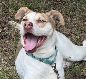 Lena