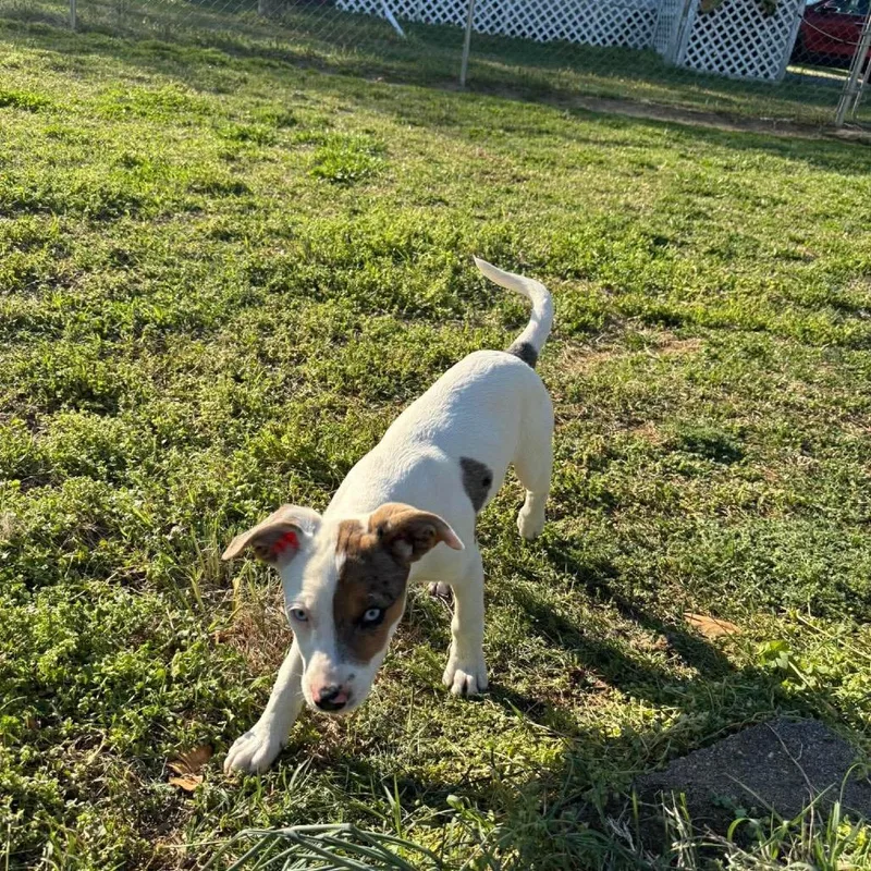 Lexie Grey thumbnail 2