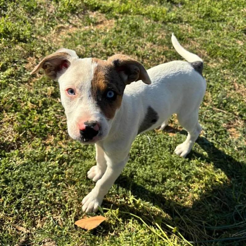 Lexie Grey thumbnail 3