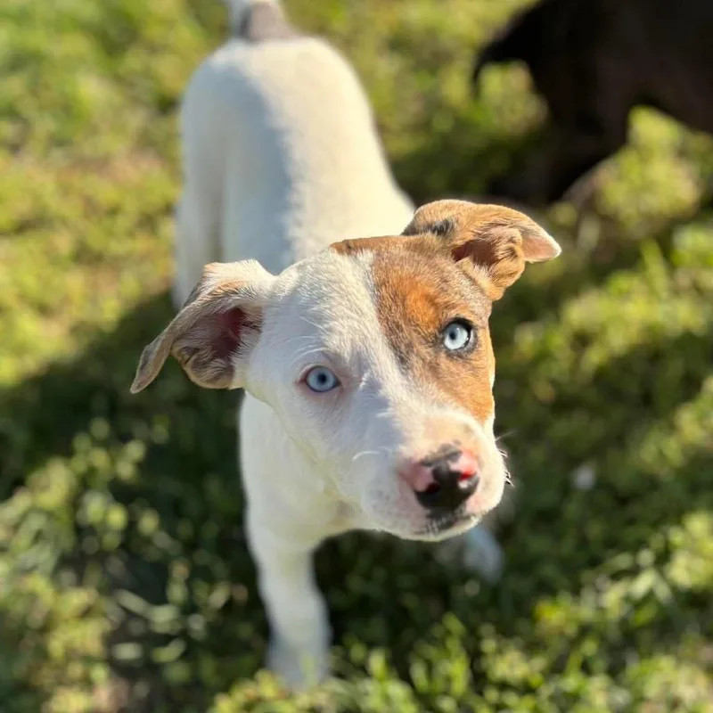 Lexie Grey thumbnail 5