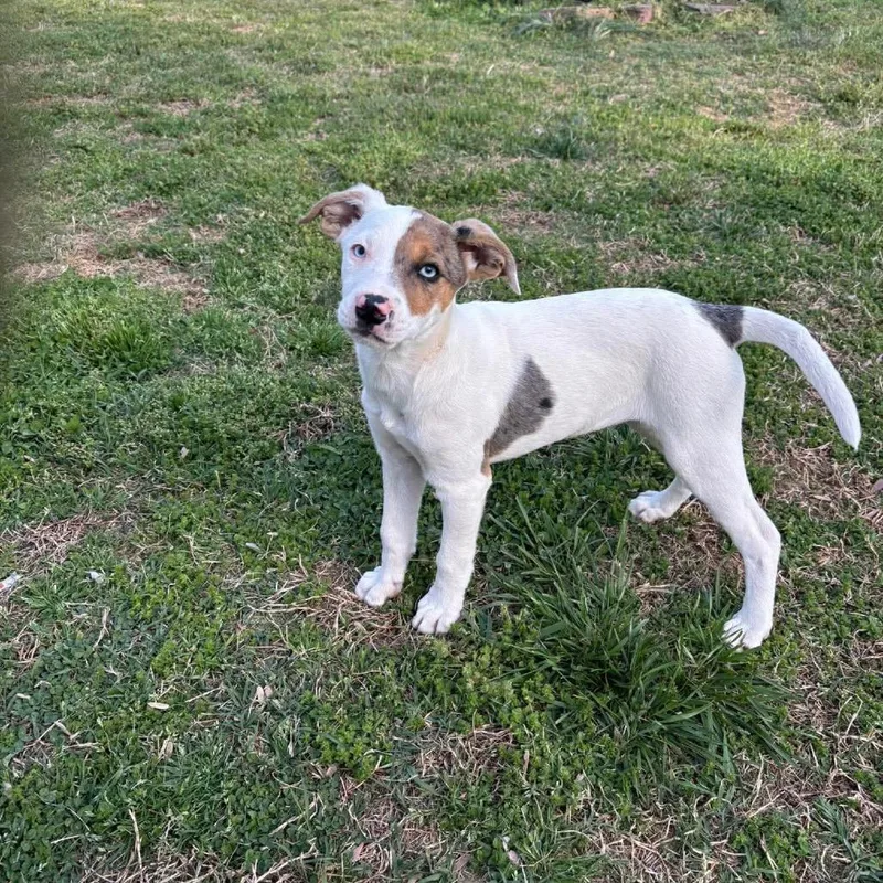 Lexie Grey thumbnail 6