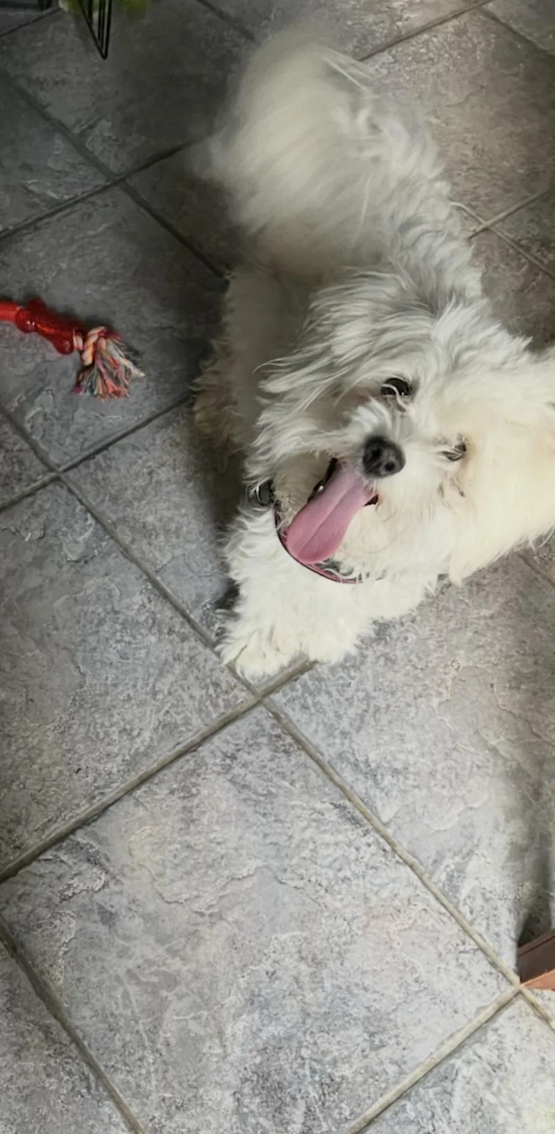 Luna  The Cutest thumbnail 4
