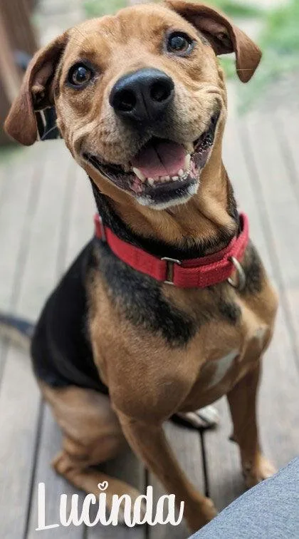 Lucinda thumbnail 2