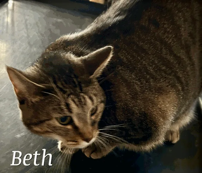 Beth