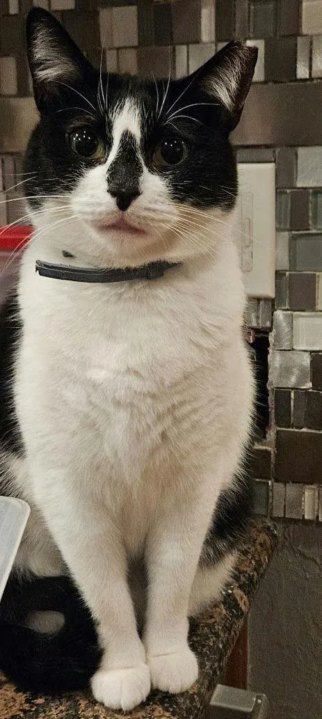 Hollygolightly thumbnail 2