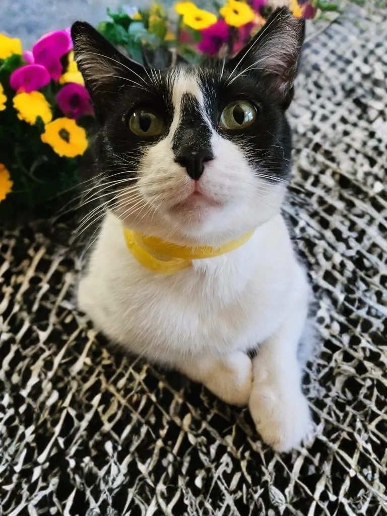 Hollygolightly thumbnail 3