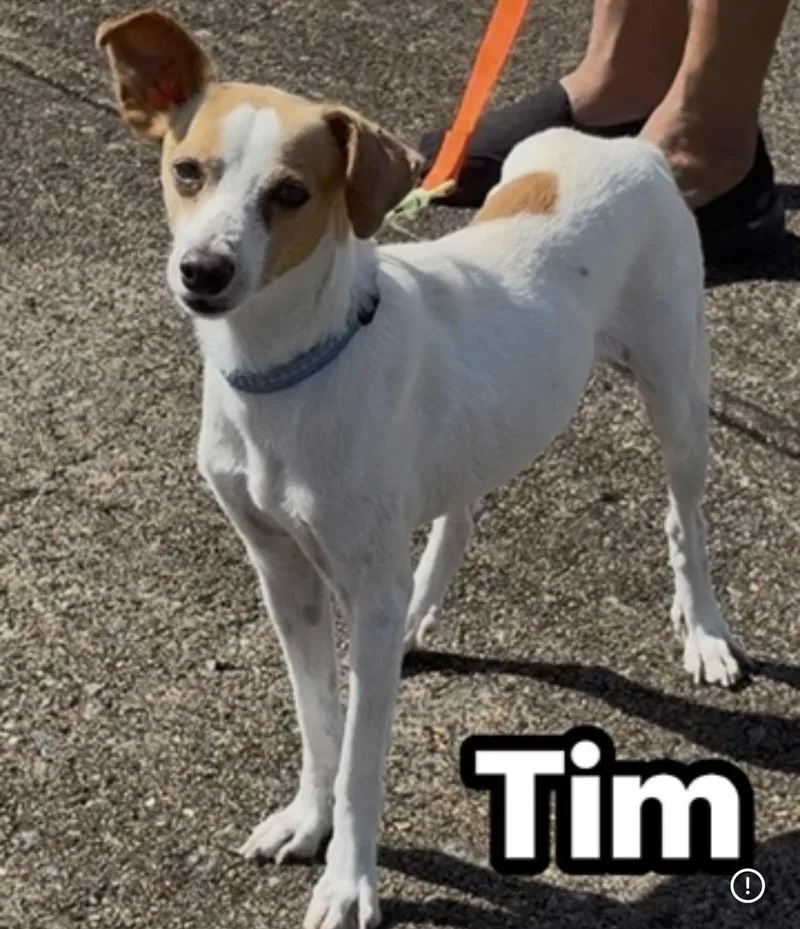 Tim & Sam thumbnail 3