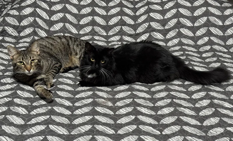 Oliver And Lucy thumbnail 2