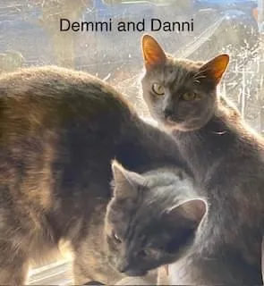 Demmi thumbnail 6