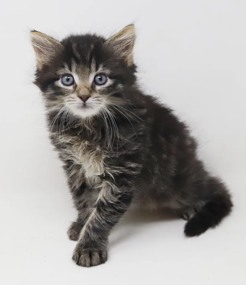 Larry is a baby thumbnail 2