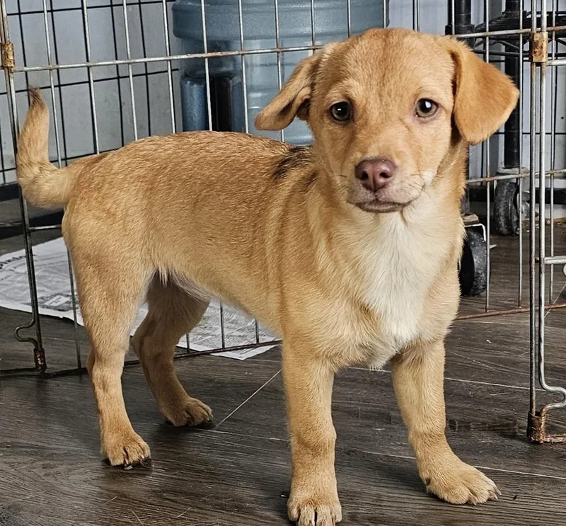 Cinnabon thumbnail 2