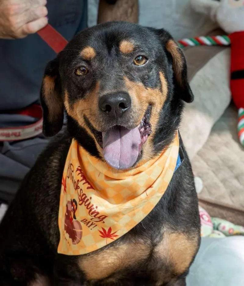 Benito...water Loving Benito