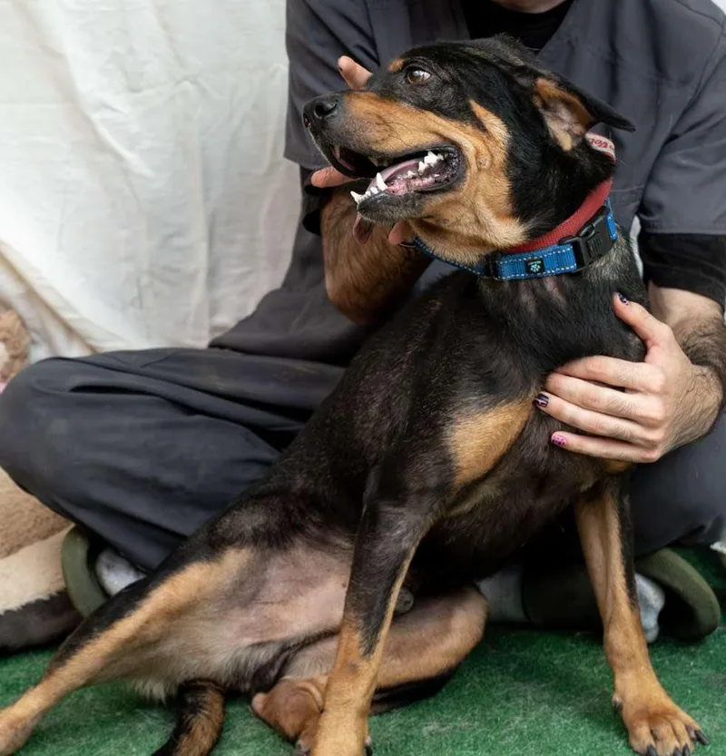 Benito...water Loving Benito thumbnail 3